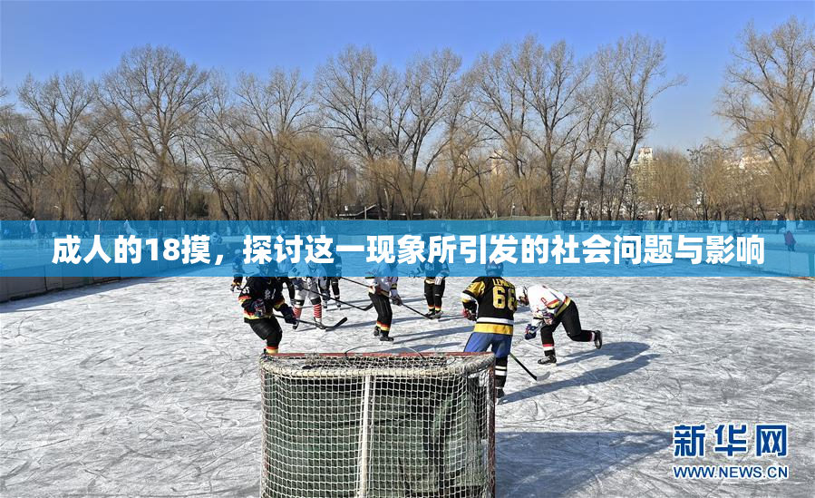 成人的18摸，探讨这一现象所引发的社会问题与影响