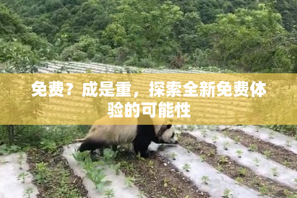 免费？成是重，探索全新免费体验的可能性