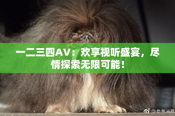 一二三四AV：欢享视听盛宴，尽情探索无限可能！