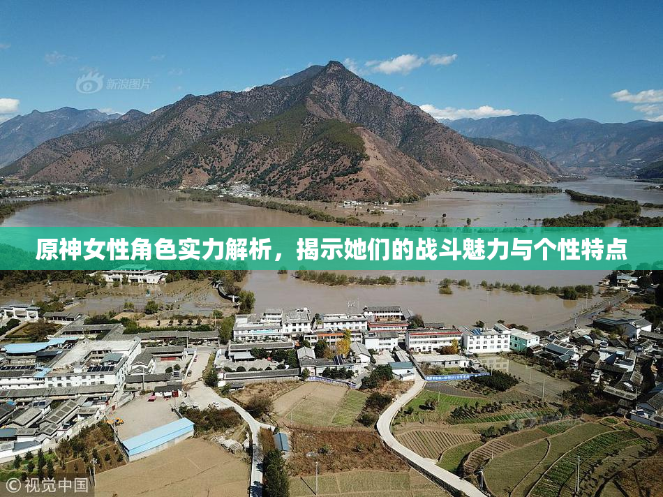 原神女性角色实力解析，揭示她们的战斗魅力与个性特点