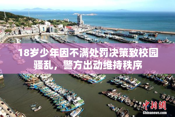 18岁少年因不满处罚决策致校园骚乱，警方出动维持秩序