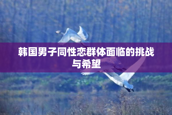 韩国男子同性恋群体面临的挑战与希望