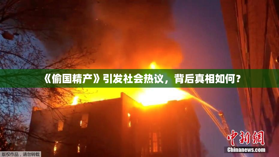 《偷国精产》引发社会热议，背后真相如何？