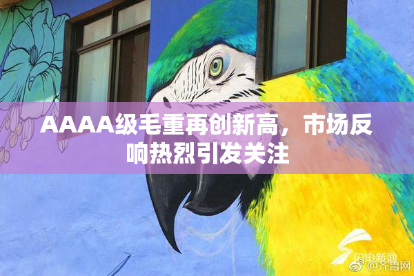 AAAA级毛重再创新高，市场反响热烈引发关注