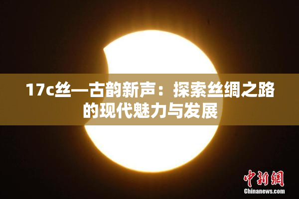 17c丝—古韵新声：探索丝绸之路的现代魅力与发展