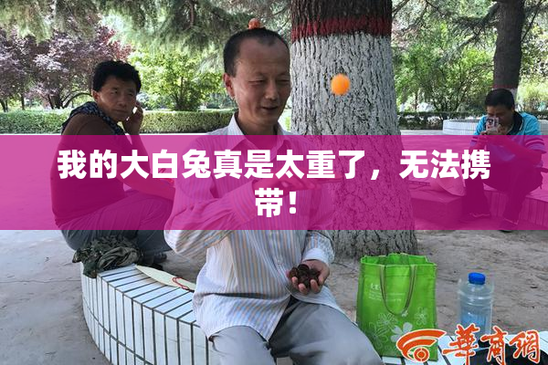我的大白兔真是太重了，无法携带！
