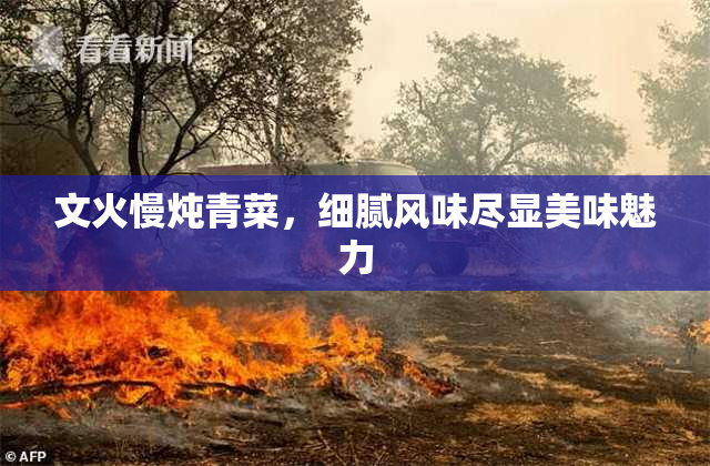 文火慢炖青菜，细腻风味尽显美味魅力
