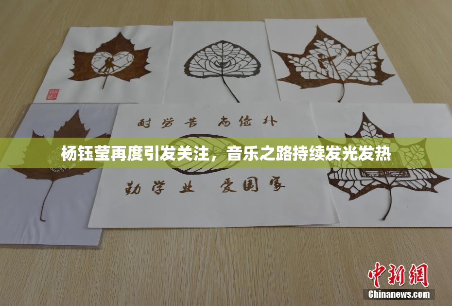 杨钰莹再度引发关注，音乐之路持续发光发热
