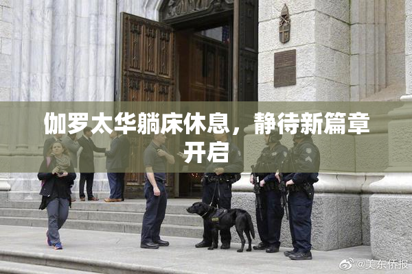 伽罗太华躺床休息，静待新篇章开启