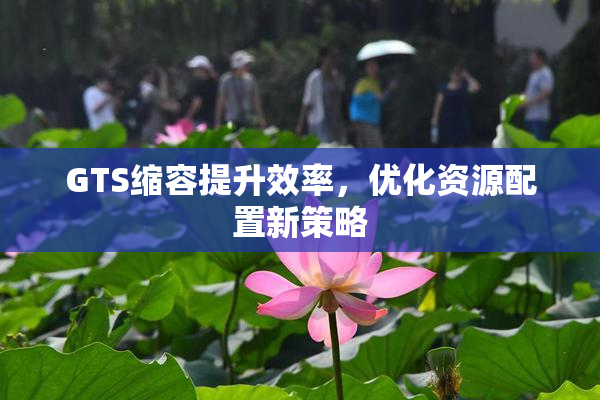 GTS缩容提升效率，优化资源配置新策略
