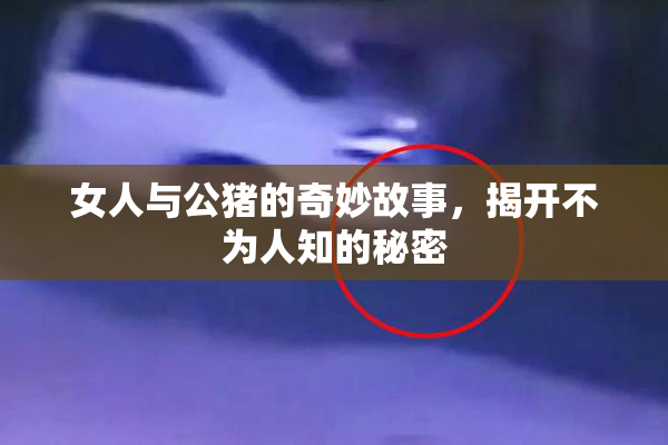 女人与公猪的奇妙故事，揭开不为人知的秘密