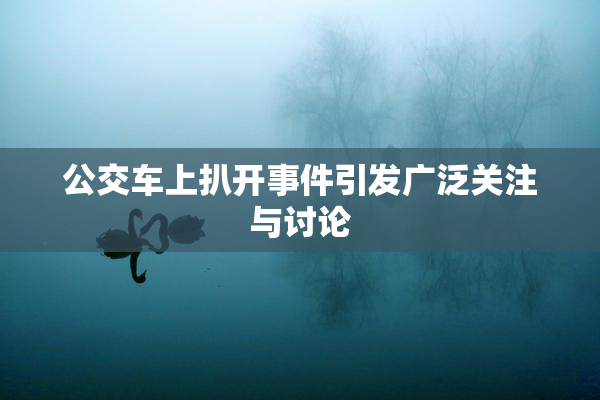 公交车上扒开事件引发广泛关注与讨论