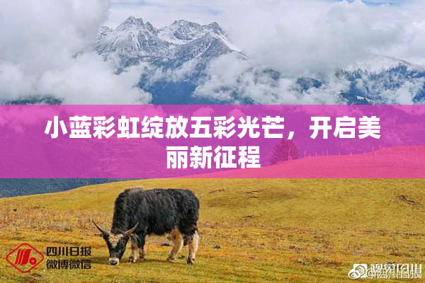 小蓝彩虹绽放五彩光芒，开启美丽新征程
