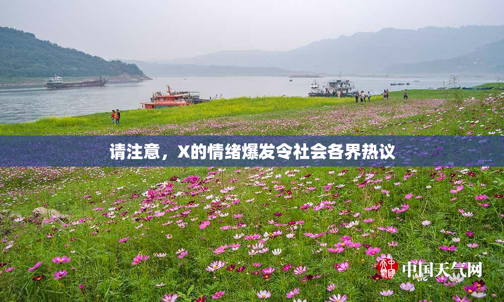请注意，X的情绪爆发令社会各界热议