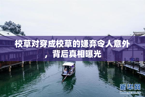 校草对穿成校草的嫌弃令人意外，背后真相曝光