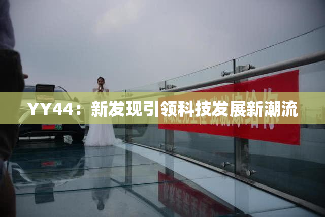 YY44：新发现引领科技发展新潮流