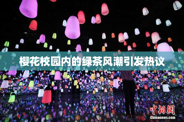 樱花校园内的绿茶风潮引发热议