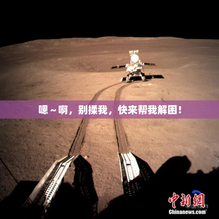 嗯～啊，别揉我，快来帮我解困！