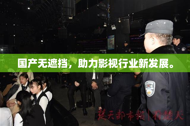 国产无遮挡，助力影视行业新发展。