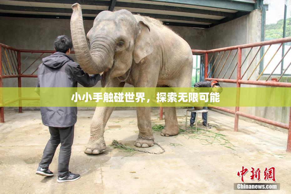 小小手触碰世界，探索无限可能