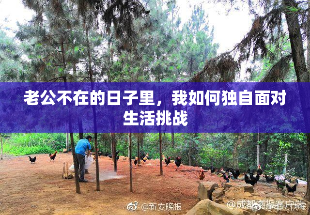 老公不在的日子里，我如何独自面对生活挑战