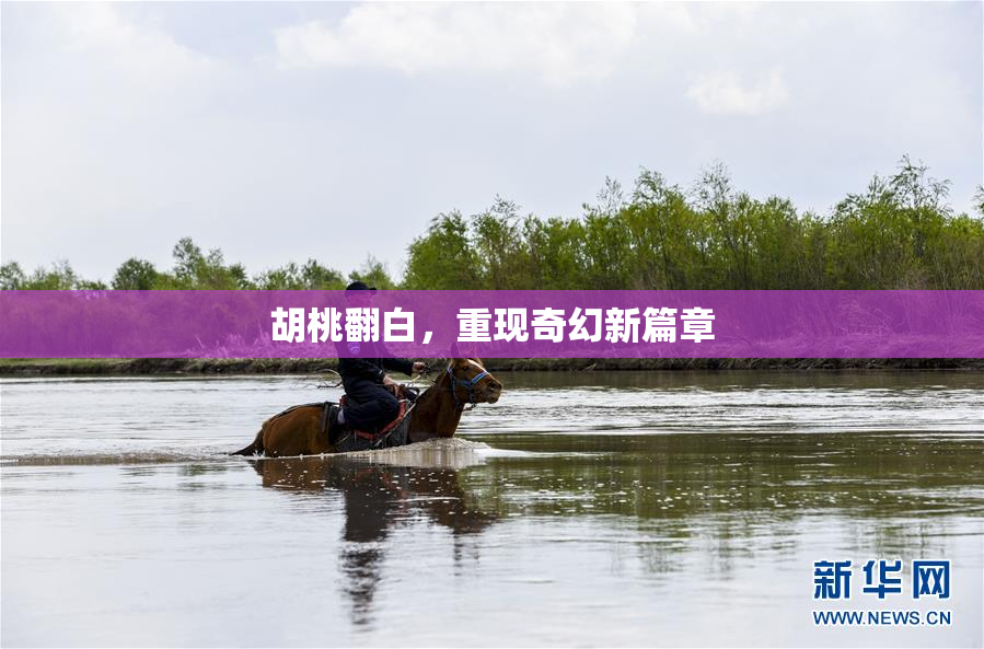 胡桃翻白，重现奇幻新篇章