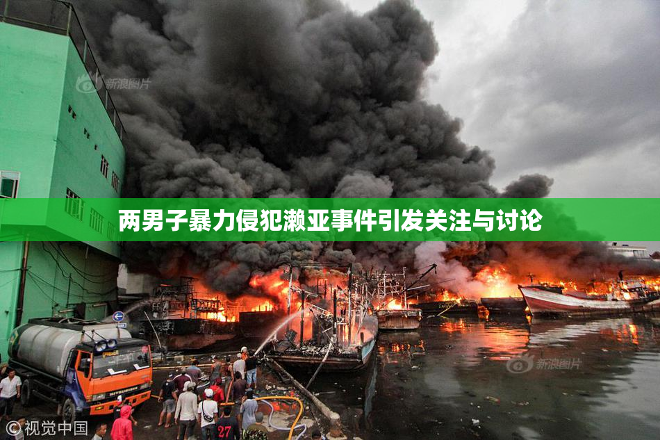 两男子暴力侵犯濑亚事件引发关注与讨论