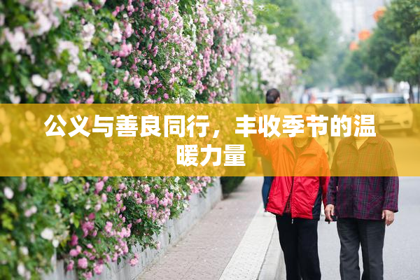 公义与善良同行，丰收季节的温暖力量
