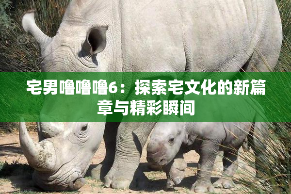 宅男噜噜噜6：探索宅文化的新篇章与精彩瞬间
