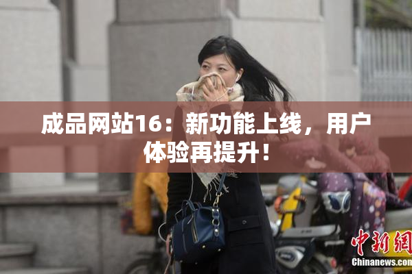 成品网站16：新功能上线，用户体验再提升！