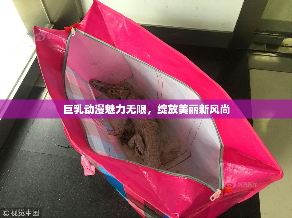 巨乳动漫魅力无限，绽放美丽新风尚