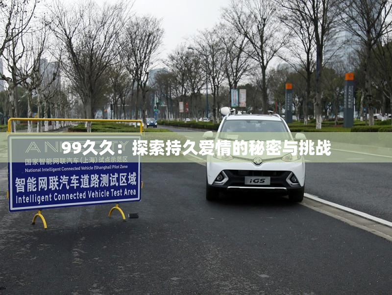 99久久：探索持久爱情的秘密与挑战