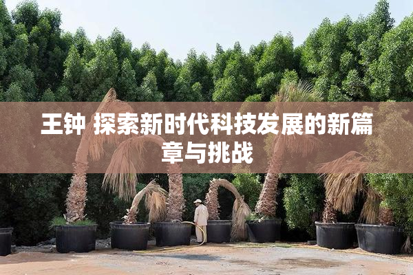 王钟 探索新时代科技发展的新篇章与挑战