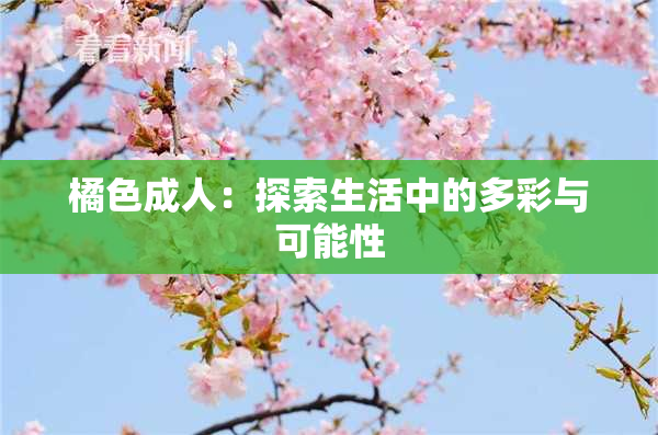 橘色成人：探索生活中的多彩与可能性