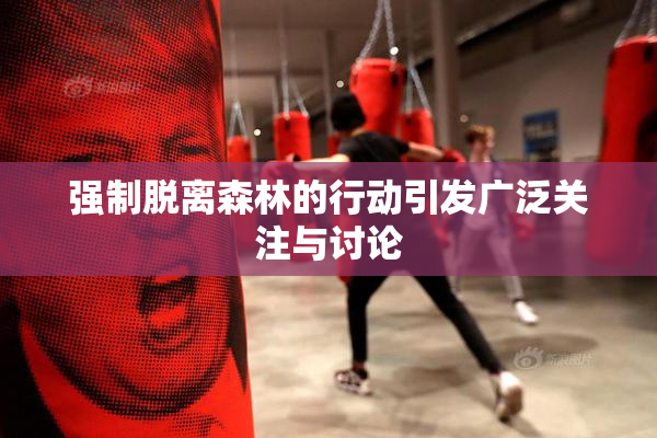 强制脱离森林的行动引发广泛关注与讨论