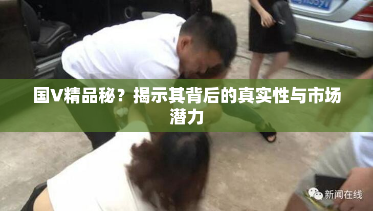 国V精品秘？揭示其背后的真实性与市场潜力