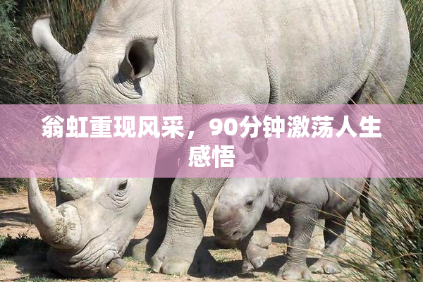 翁虹重现风采，90分钟激荡人生感悟
