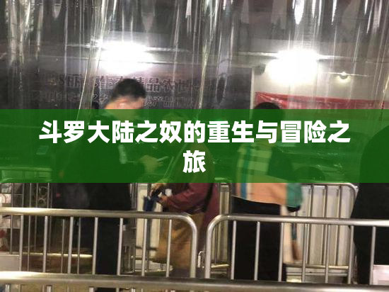 斗罗大陆之奴的重生与冒险之旅