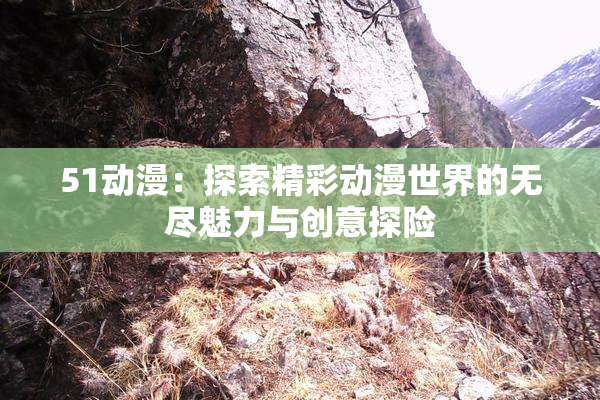 51动漫：探索精彩动漫世界的无尽魅力与创意探险