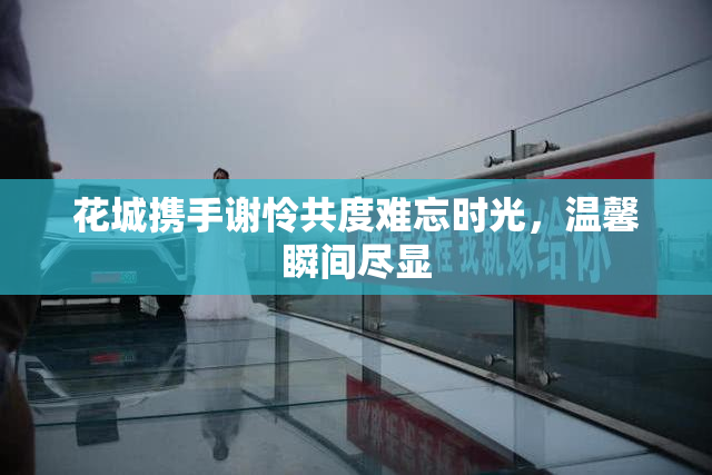 花城携手谢怜共度难忘时光，温馨瞬间尽显