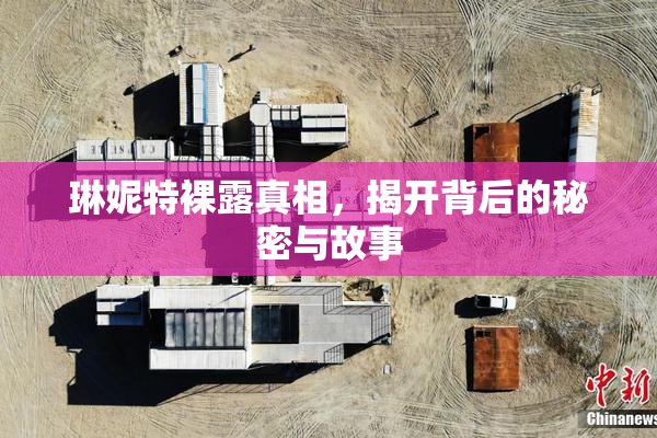 琳妮特裸露真相，揭开背后的秘密与故事