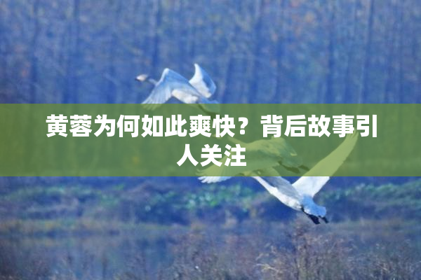 黄蓉为何如此爽快？背后故事引人关注