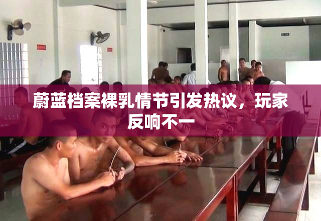 蔚蓝档案裸乳情节引发热议，玩家反响不一