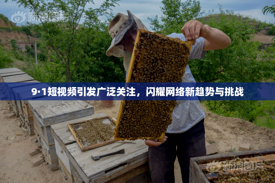 9·1短视频引发广泛关注，闪耀网络新趋势与挑战