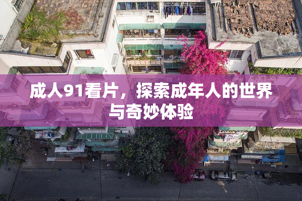 成人91看片，探索成年人的世界与奇妙体验