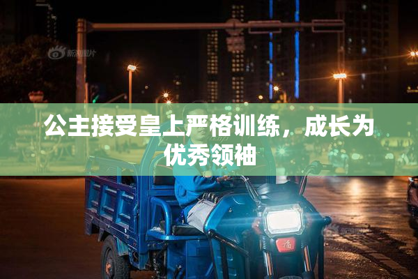 公主接受皇上严格训练，成长为优秀领袖
