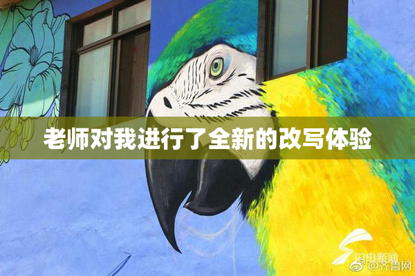 老师对我进行了全新的改写体验
