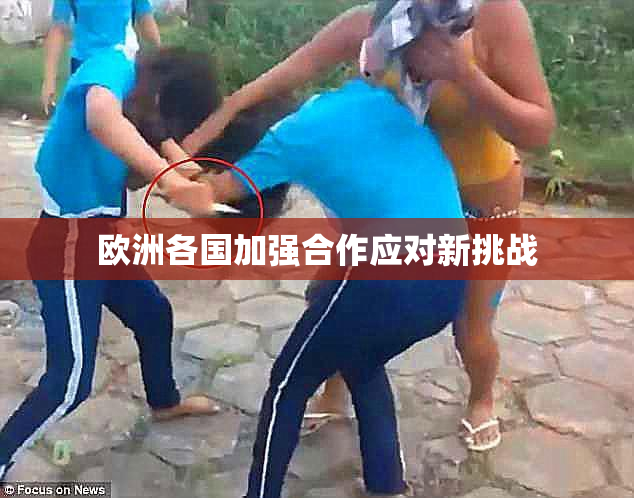 欧洲各国加强合作应对新挑战