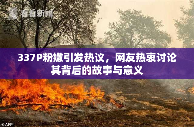 337P粉嫩引发热议，网友热衷讨论其背后的故事与意义