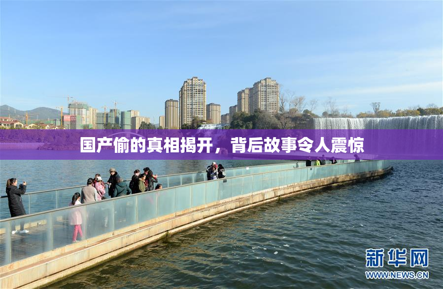 国产偷的真相揭开，背后故事令人震惊
